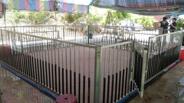 dog fighting enclosure